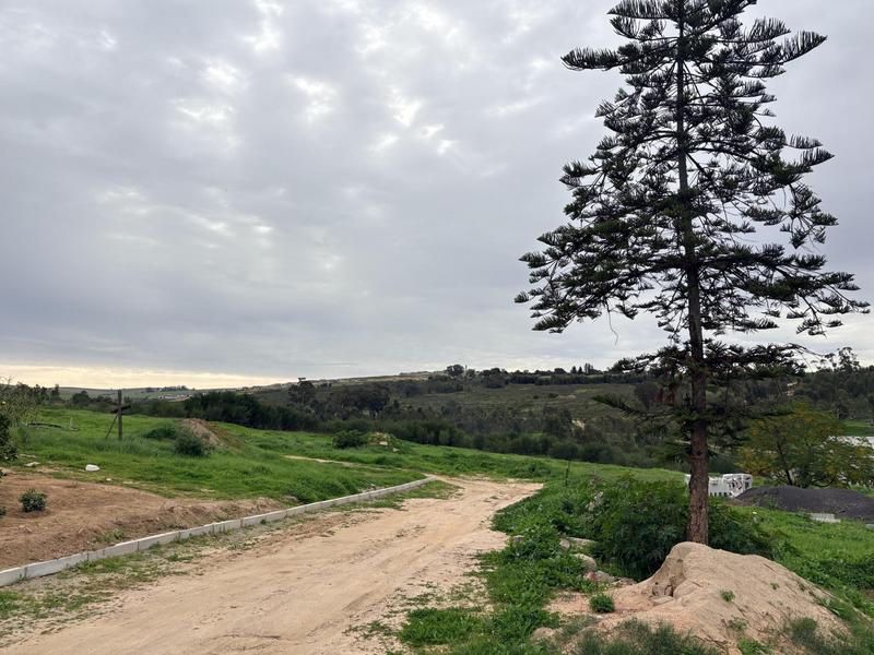 0 Bedroom Property for Sale in Wesbank Western Cape